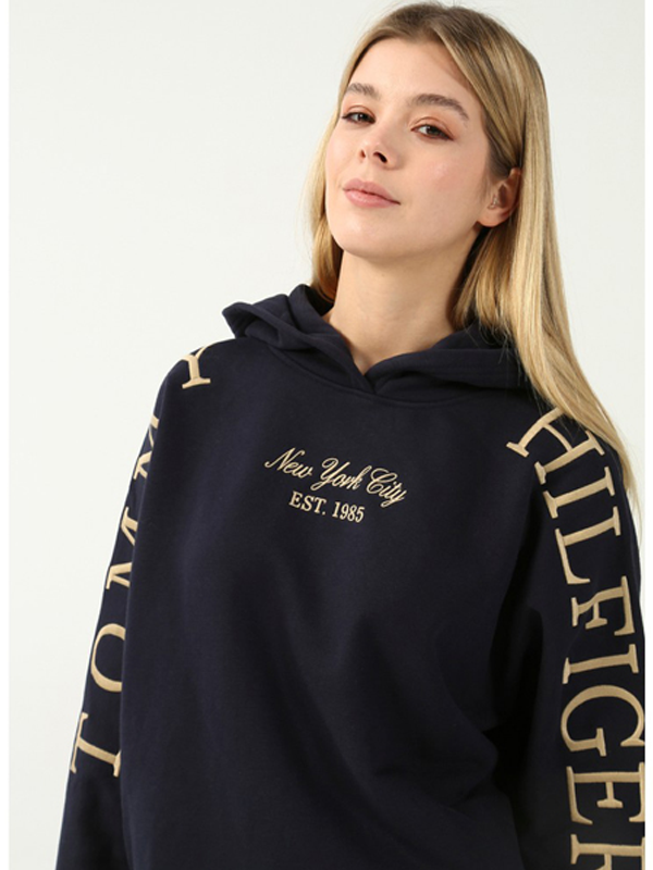 Rlxd Arched Hilfiger Hoodie Desert Sky / L