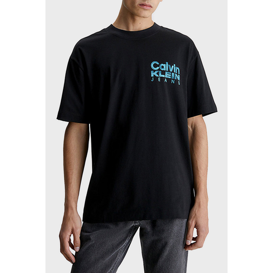 Old Color Institutional T-Shirt CK BLACK / L