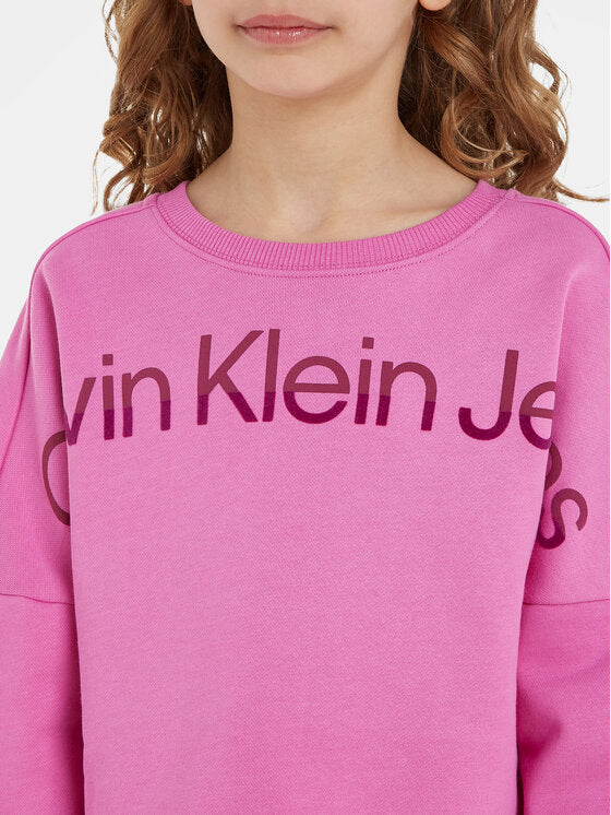 Hero Logo Cn Sweatshirt Violet Fun / 10