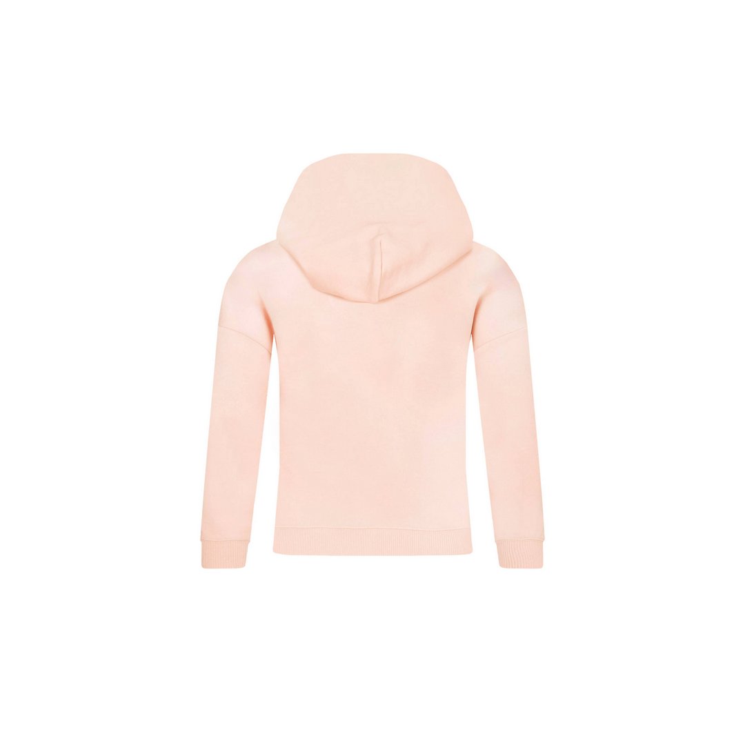 Gradient Flock Logo/ Tf6/ 16 Sepia Pink / 4