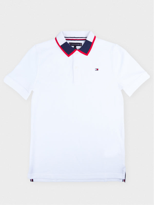 Intarsia Collar Polo S/S White 658-170 / 10