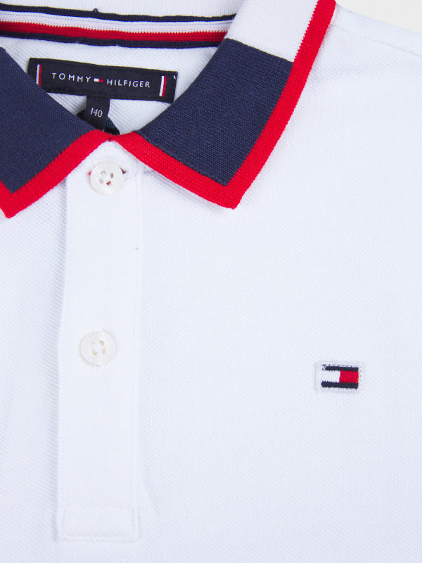 Intarsia Collar Polo S/S White 658-170 / 10