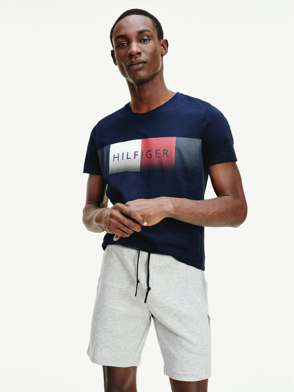 Th Cool Hilfiger Fade Tee DESERT SKY / L