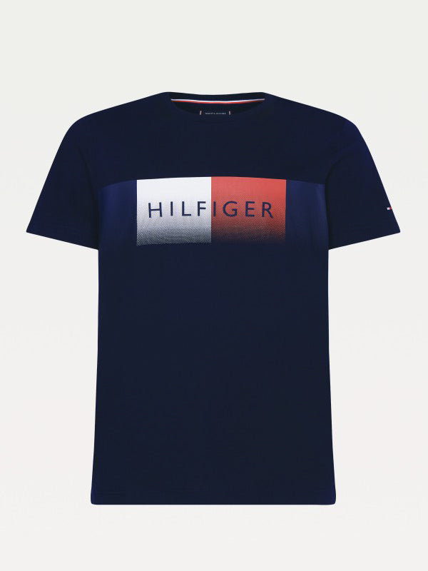 Th Cool Hilfiger Fade Tee DESERT SKY / L