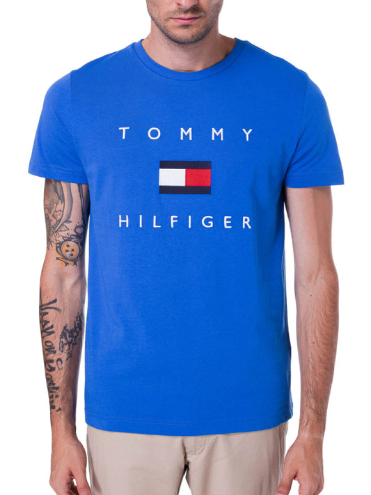 Tommy Flag Hilfiger Tee TH ELECTRIC / L