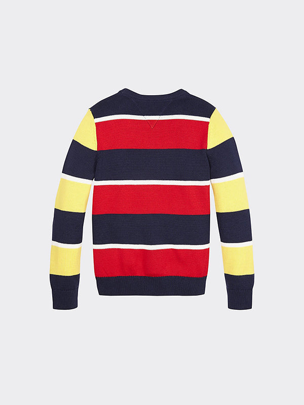 Stripe Sweater Black Iris/Aspen Gold / 10