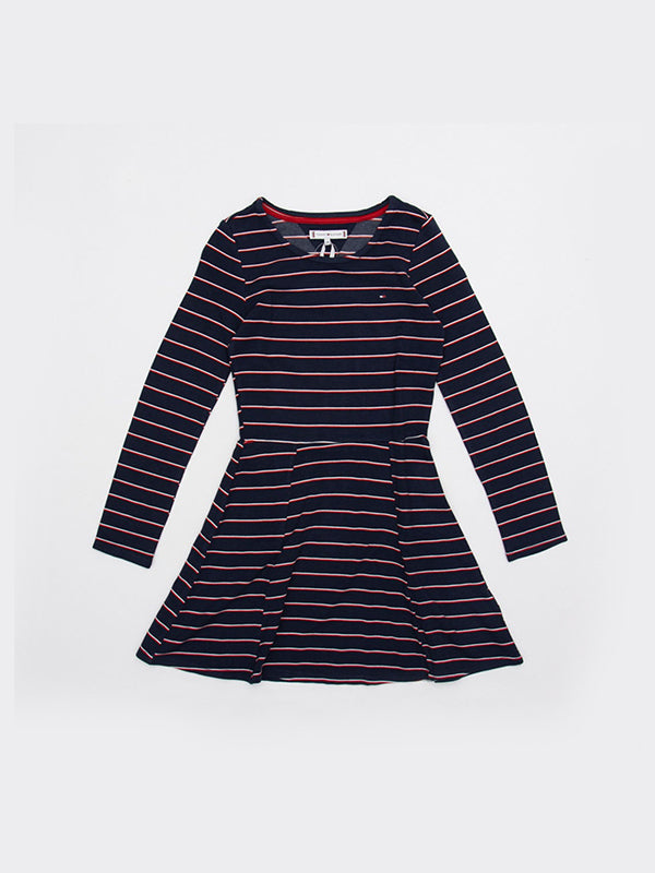 Essential Stripe Skater Dress Black Iris/ Global Stripe / 10