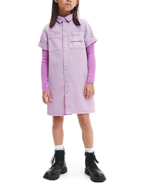 Denim Ss Shirt Dress Iris Orchid Iris Orchid / 10